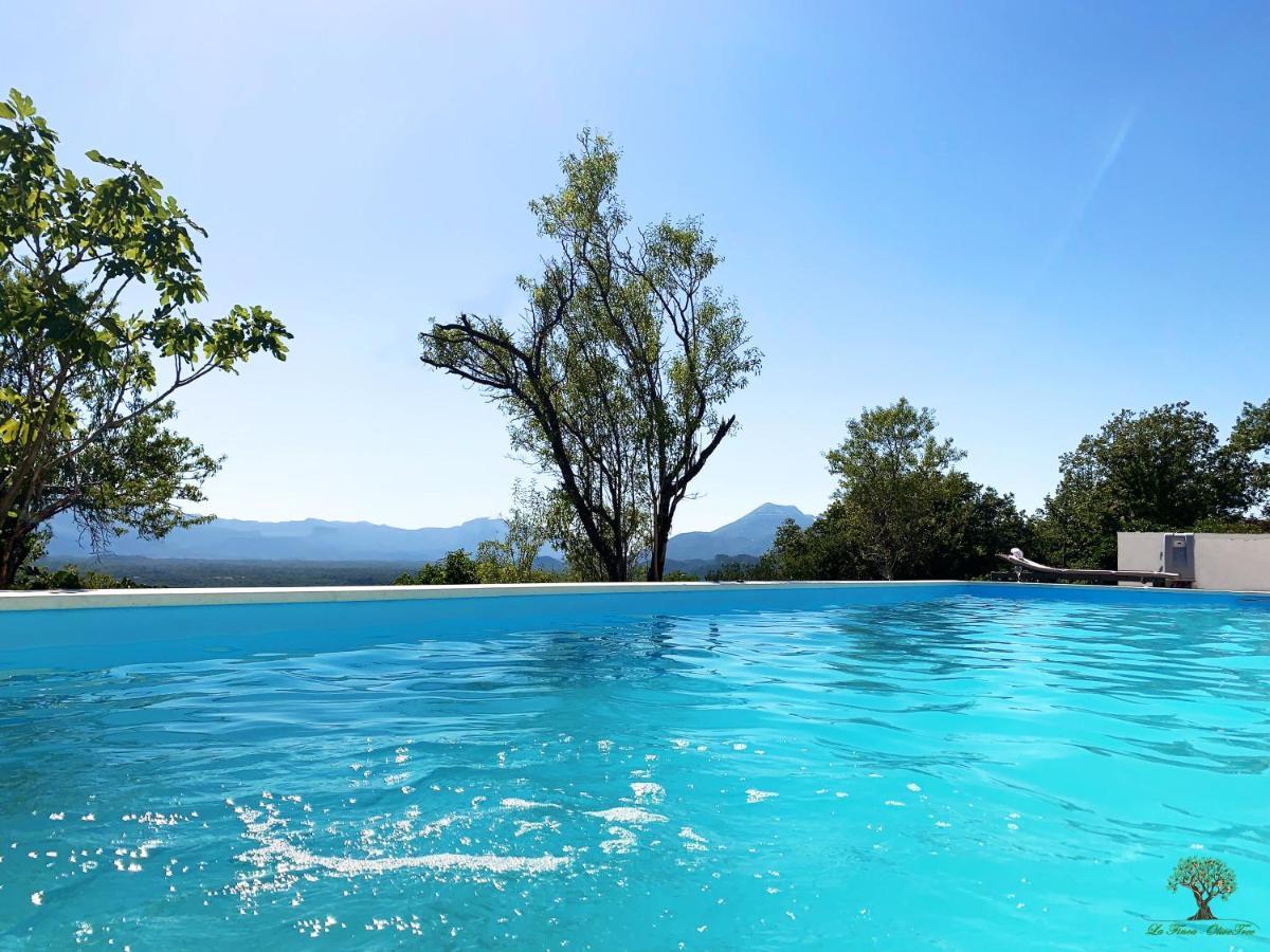 La Finca Olivetree Katuni Extérieur photo